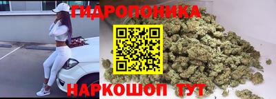 прущие грибы Усть-Илимск