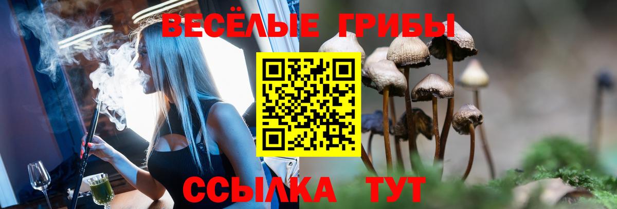Галлюциногенные грибы мицелий  Вход с VPN  Александров 